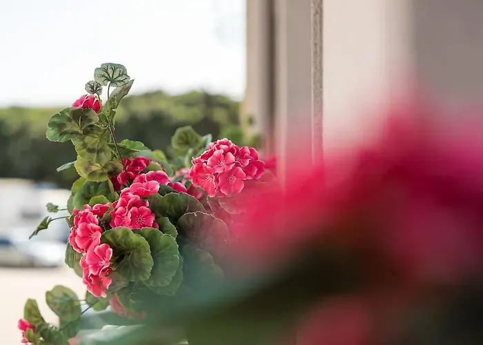 Beachside House In By Lisbeyond *